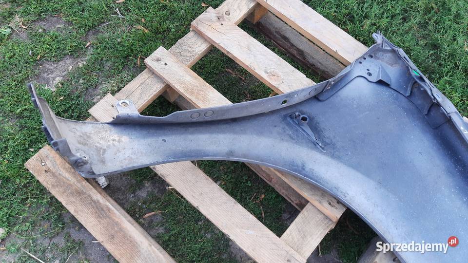 lak TEA19 błotnik lewy przedni Renault Megane II Błotniki Dębno