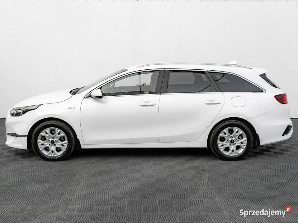 Kia Ceed SK818YE15 TGDI M DCT Kcofania 2 stref Kia Gdańsk