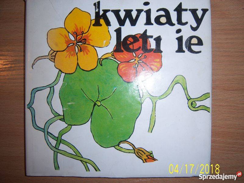 Kwiaty letnie Kielce