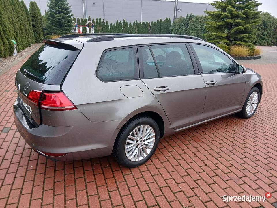 VW Golf 7 CUP wersja z Niemiec relingi dachowe