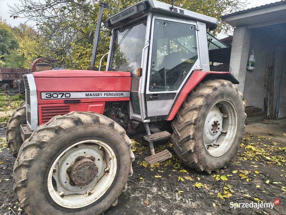 MF Massey Ferguson 3070 Uniejów
