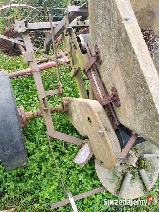 Rozsiewacz kos wielkopolskie