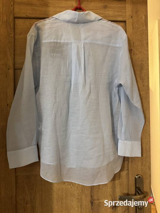 Bluzka damska XS błękitna Massimo Dutti bawełna Bluzki i koszule Częstochowa