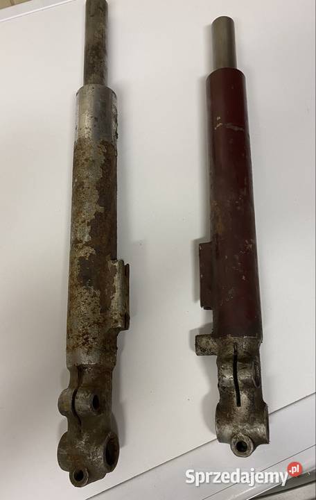 Golenie przedniego zawieszenia Pannonia Panonia dolnośląskie