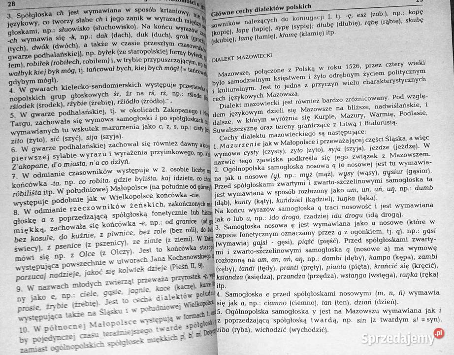 Gramatyka języka polskiego Zarys popularny Piotr Kultura i Rozrywka