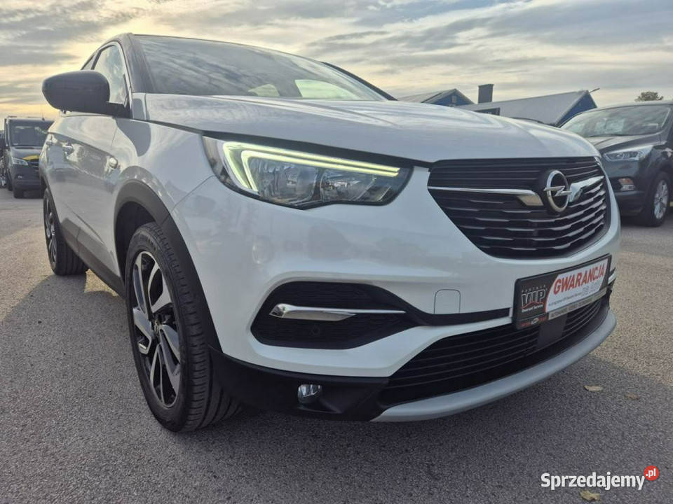 Opel Grandland X 12Turbo 130 Biała Perła światła przeciwmgielne Gniewkowo