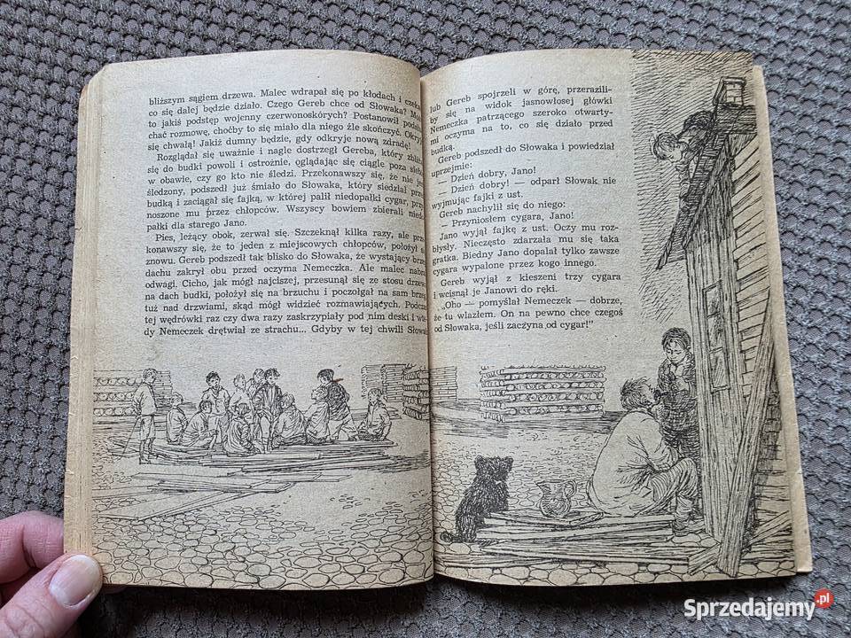 Chłopcy z Placu Broni Ferenc Molnr Kultura i Rozrywka małopolskie