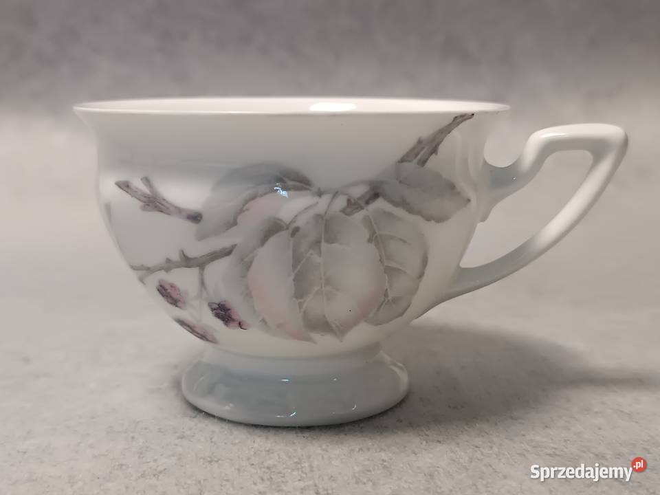 Rosenthal MARIA Filiżanka Trio Śniadaniówka Porcelana i szkło Zakopane sprzedam