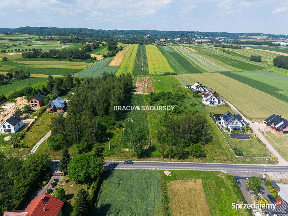 sprzedaży działki Cholerzyn 5800m2 Sprzedaż