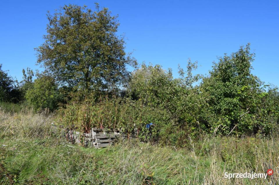 Działka budowlana 1239a z budynkiem 32m2 Tyczyn sprzedam