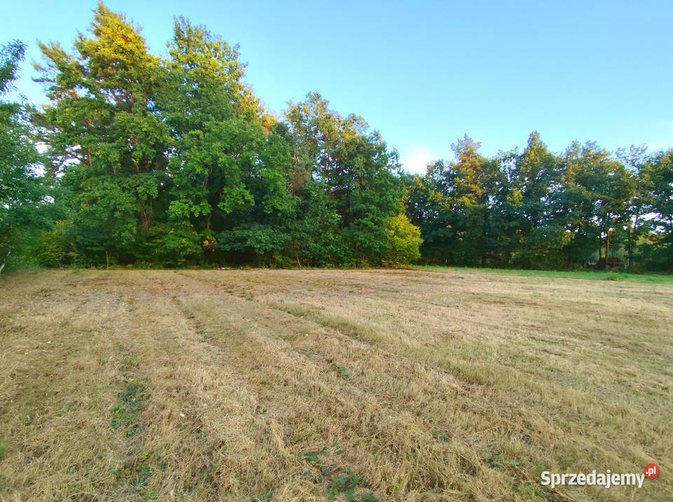 Działka budowlana Kazimierza Dolnego 70m