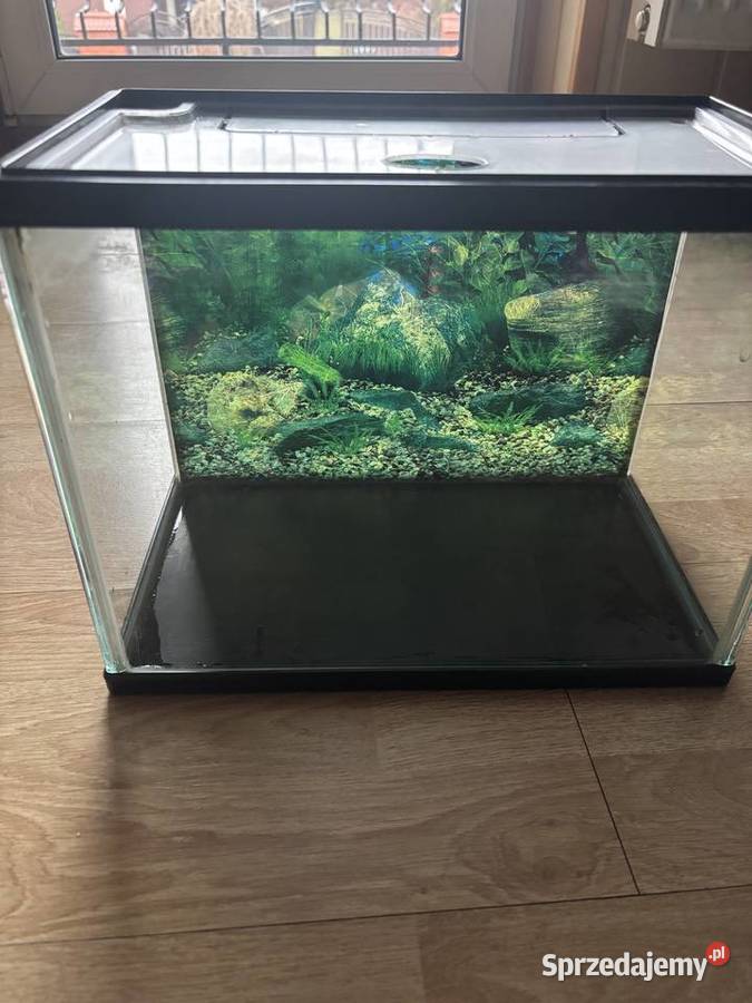 Akwarium Akwarystyka sprzedam