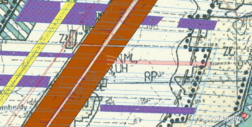 Działka 145ha z możliwością zabudowy Kolembrody 22m lubelskie