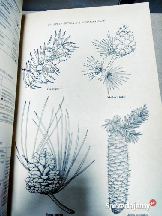 Zagospodarowanie działek i ogrodów przydomowych Warszawa