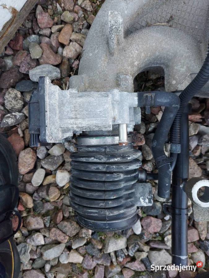 Przepustnica Jaguar XType 2004 25 V6 zachodniopomorskie sprzedam