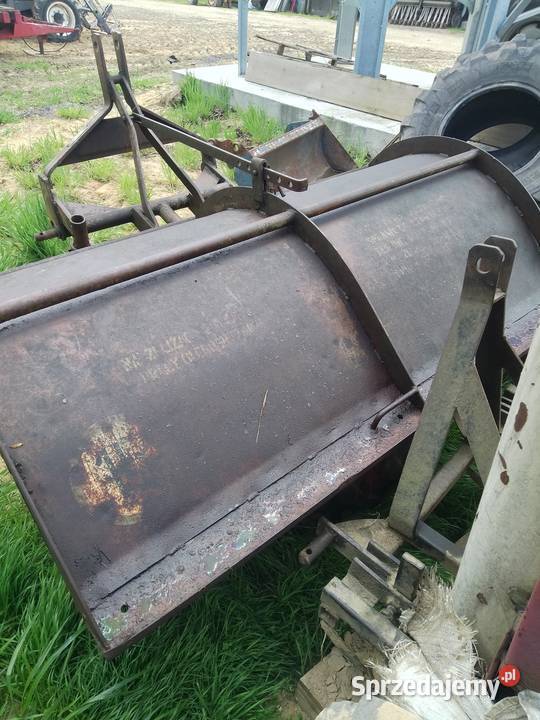 Glebogryzałka Lisia Góra