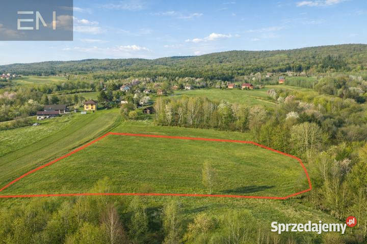 Działka 8800m2 Huta Gogołowska sprzedam