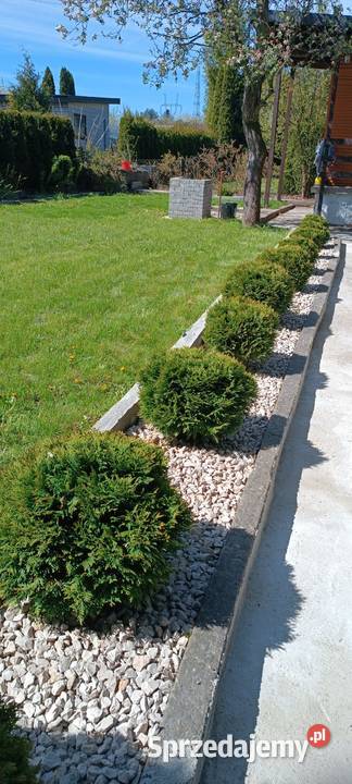 Działka rekreacyjna ROD sprzedam