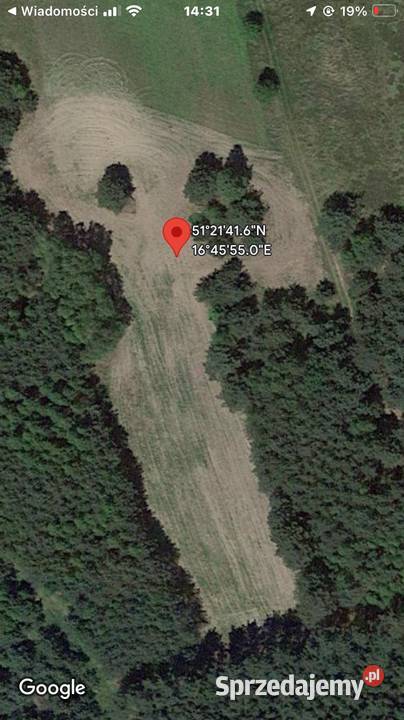 Działka 9700 m2 siedliskowa budowlana MPZP dolnośląskie Mikorzyce