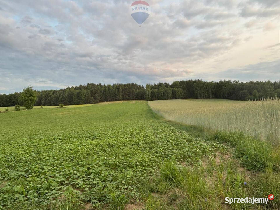 Wiejskie Życie Domek z Ogrodem w Feliksowie Feliksów