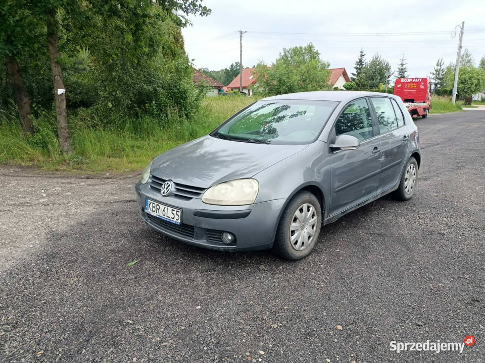 Volkswagen Golf Volkswagen Golf 19TDI 105 04r V