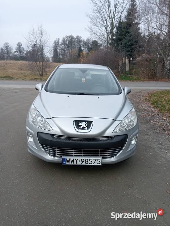 peugeot 308 Dzigorzew