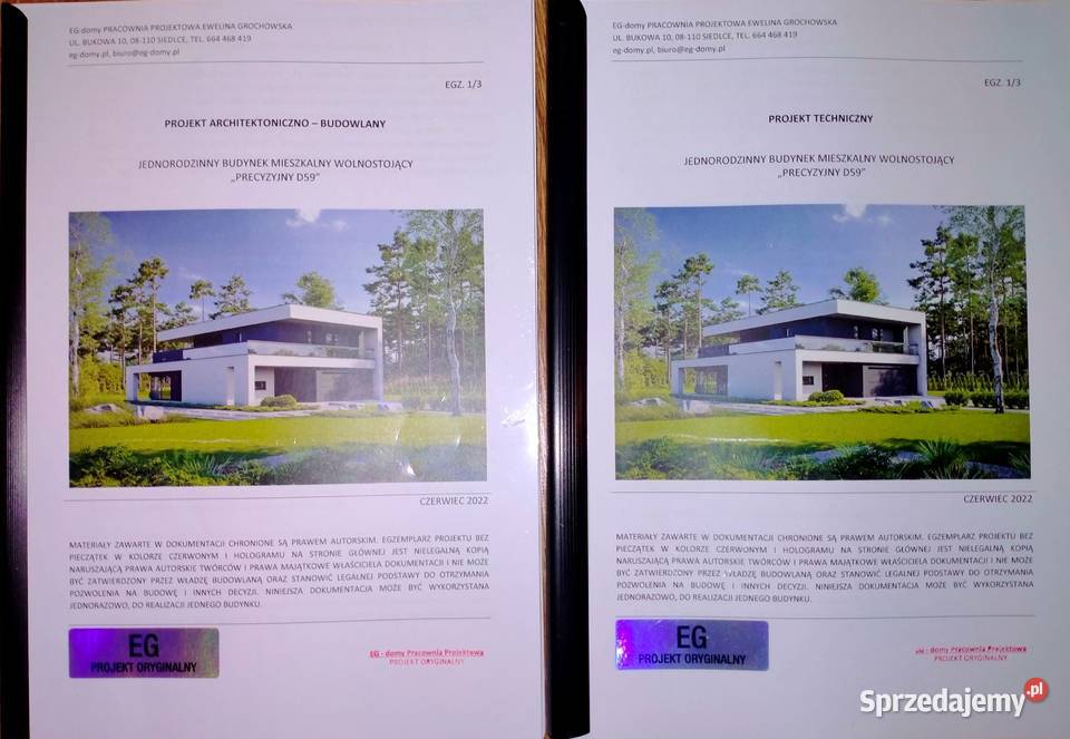 Projekt nowoczesnego domu Bychawa