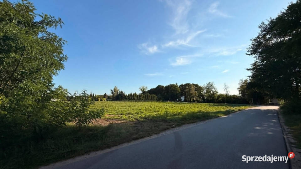 DZIAŁKA BUDOWLANA JEZIOREM POWIDZKIM KOSEWO 4302m2 wielkopolskie