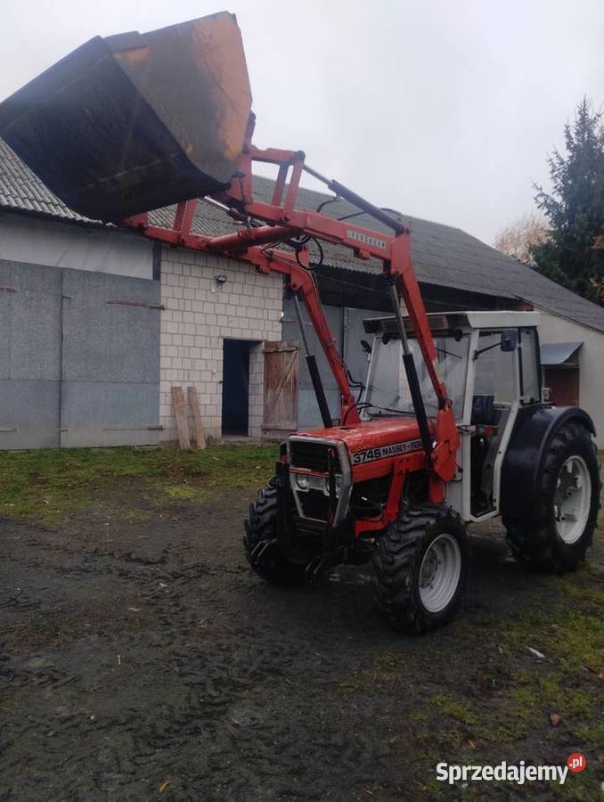 Massey Ferguson 374s