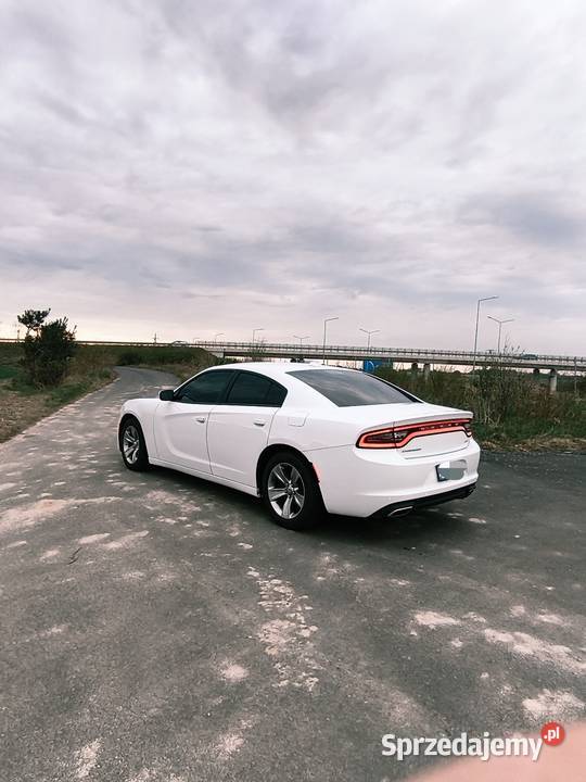 Dodge Charger 36 2016r bluetooth Bolesławiec