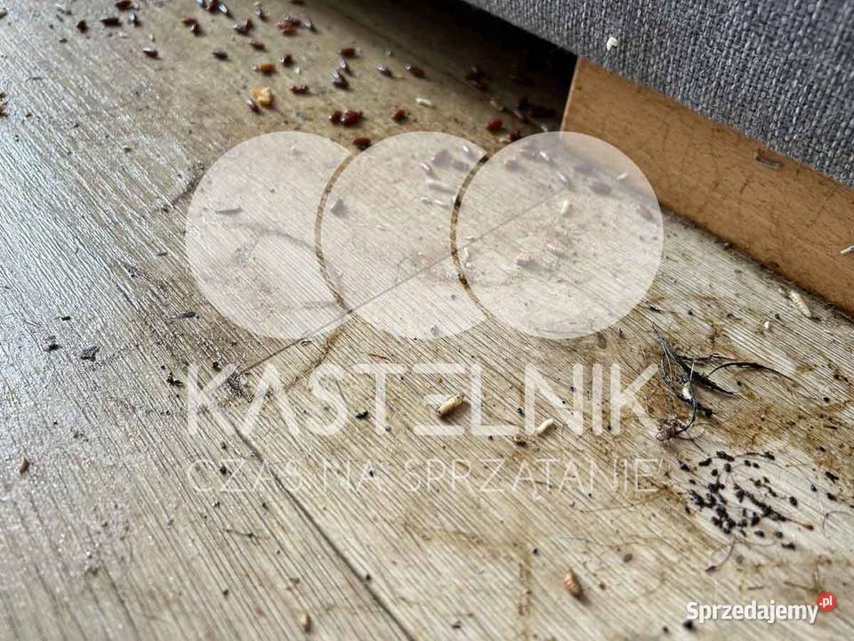 Dezynfekcja i sprzątanie zgonach Woźniki