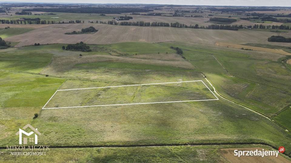 Działka rolna 168 ha Trutnowo 3zł/m2