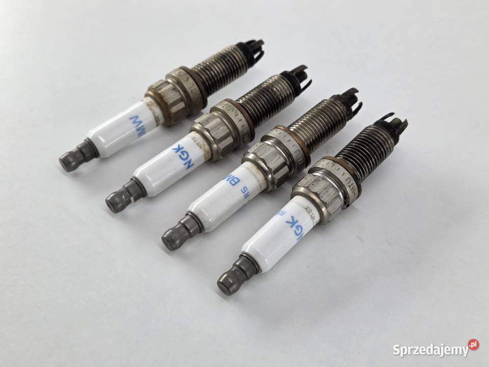 SWIECA BMW ZKBR7A Janowice