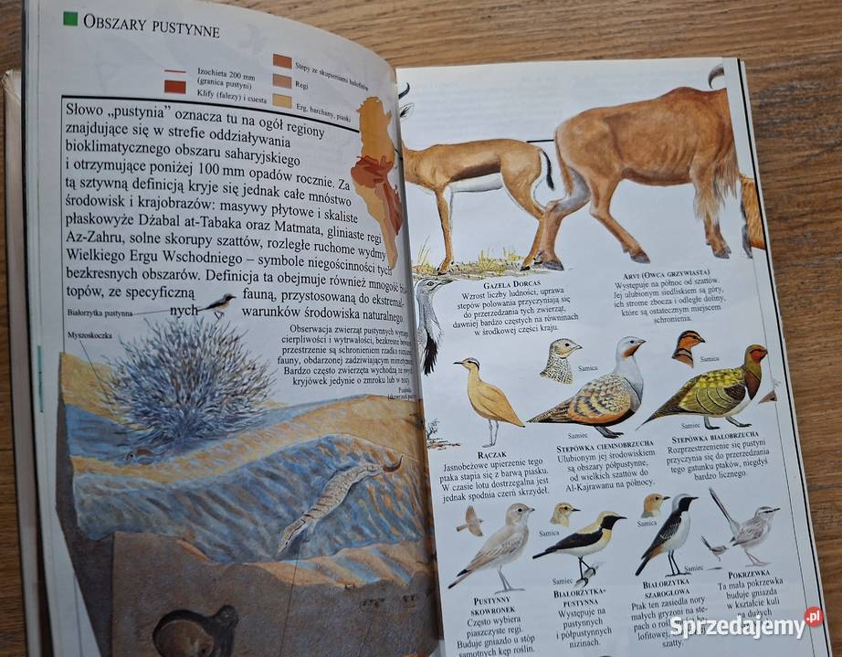 Tunezja przewodnik Pascala Kraków sprzedam