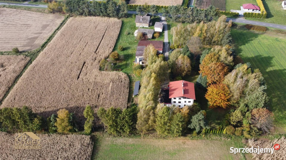 sprzedaży domu wolnostojącego 320m2 Pruchna Domy sprzedam