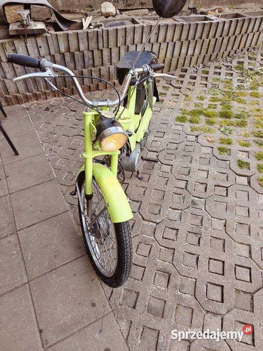 Komar Rybnik