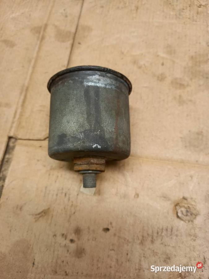 Licznik komar sztywniak mazowieckie Sokołów Podlaski