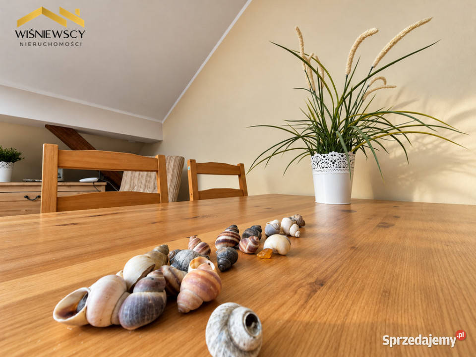 Stegna Apartament plaży z parkingiem