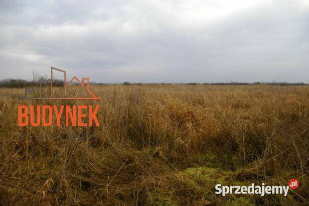 Działka rolna Darłowo 360m zachodniopomorskie