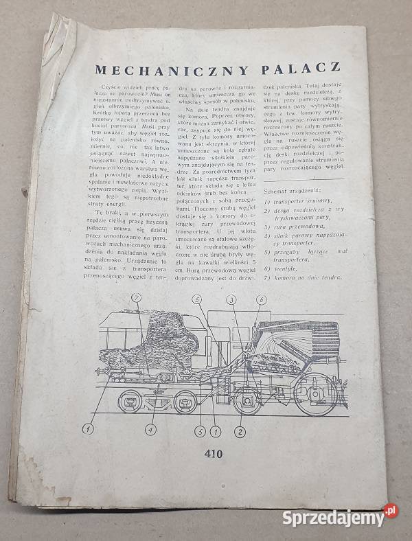 Młody zawodowiec z 1951 Reszel