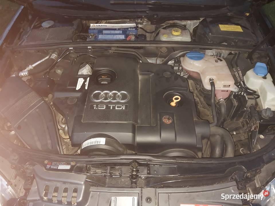 Audi a4b7 Prędocin
