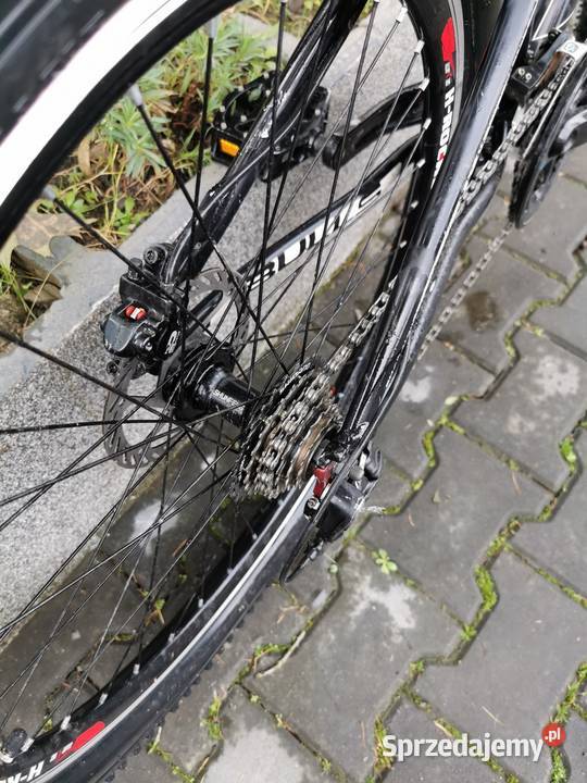 Bulls sharptail 2 Rabka-Zdrój sprzedam