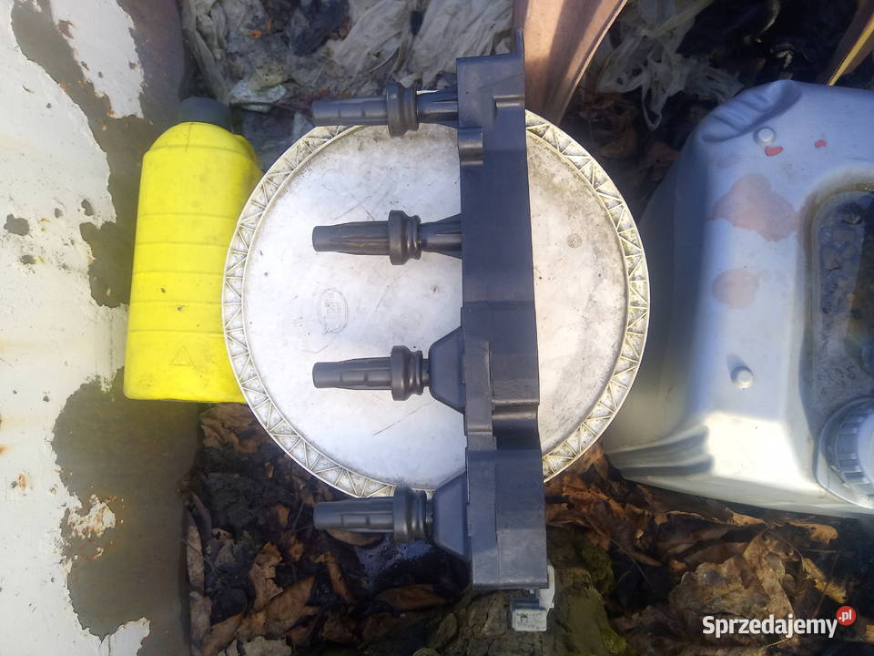 Cewka zapłonowa Citroen Xsara Picasso 16 benzyna Dębowiec