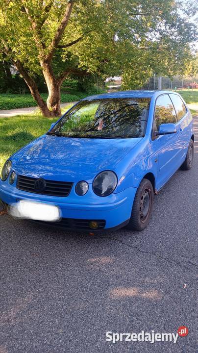 W Polo Polo Koszalin