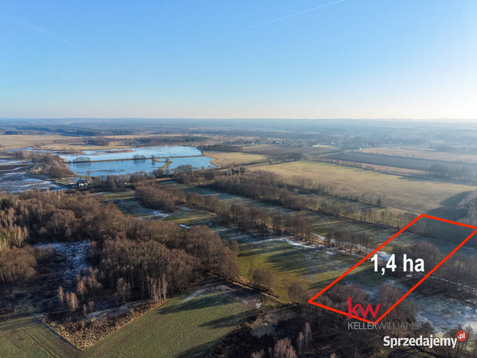 Sprzedam działka 13900m2 Kuźniczysko 13900m2