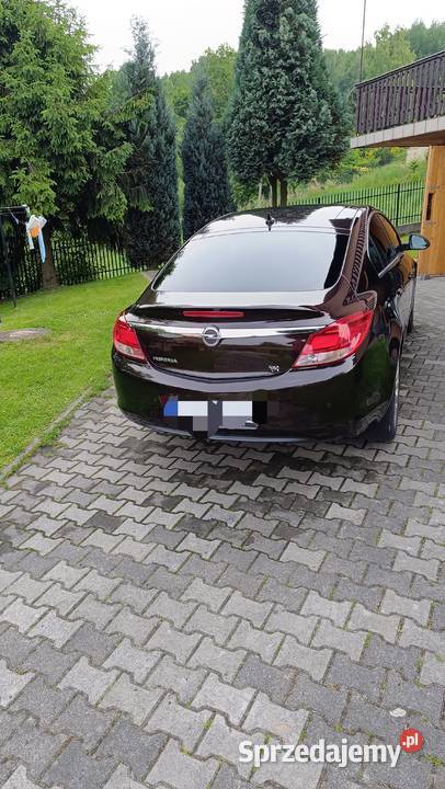 Opel Insignia małopolskie Filipowice
