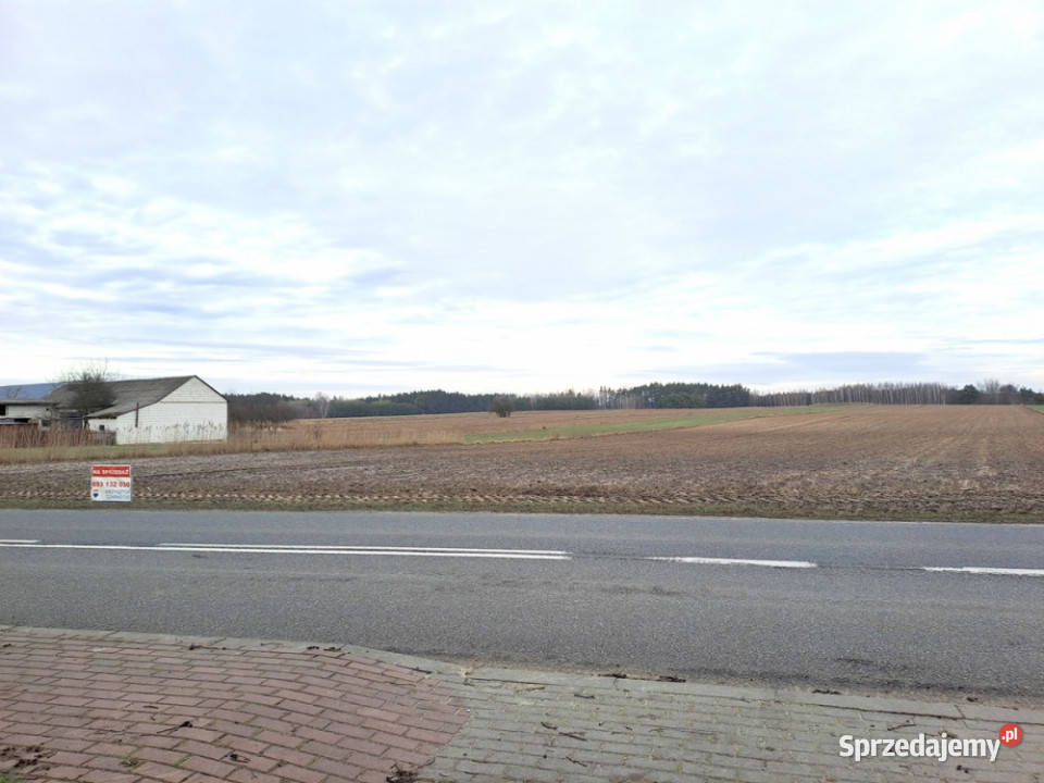 Działka pod zabudowę jednorodzinną bliźniaczą Sprzedaż Żebraczka