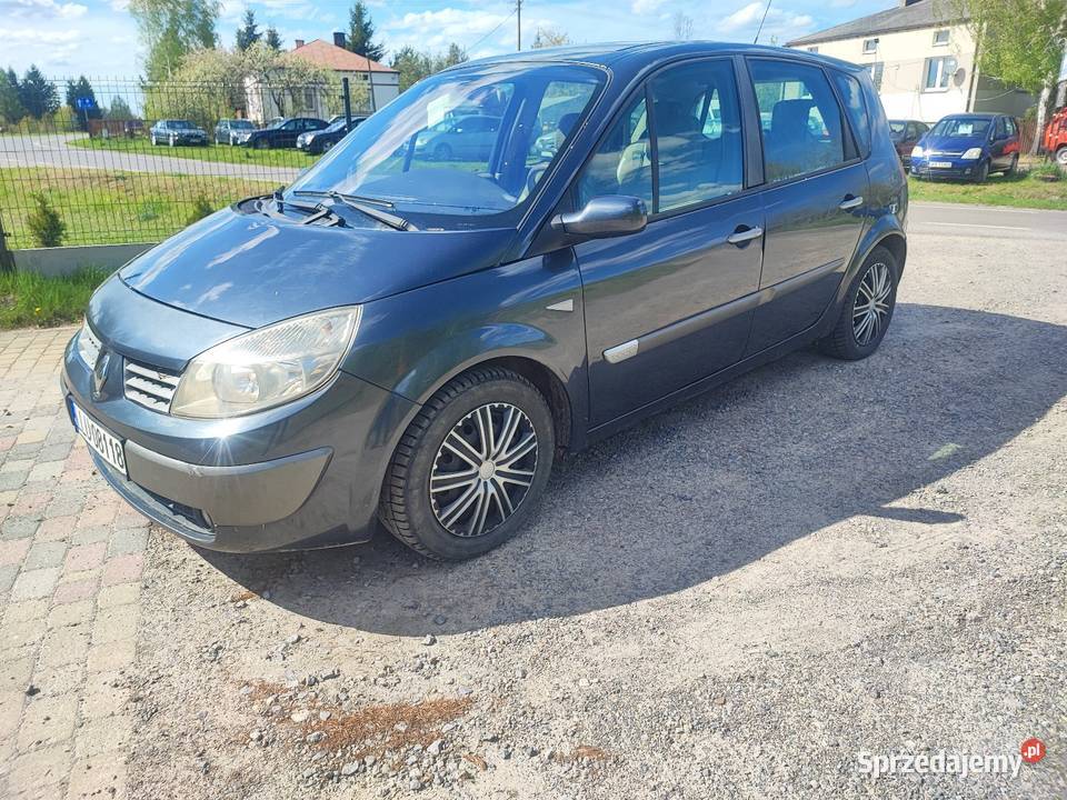 Renault Scenic 19 dCi Kozłówka