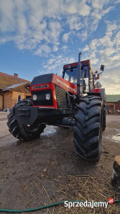 Ursus 1634 Stan Grabnik