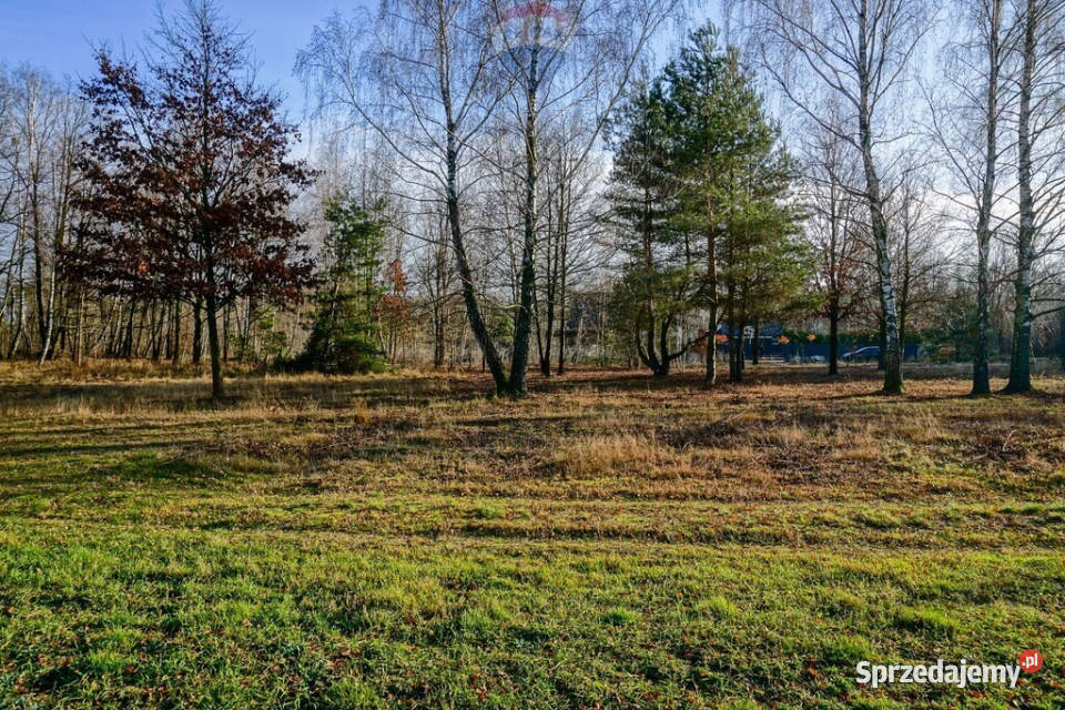 Działka budowlana 1004m2 Grądy k Żyrardowa 30m